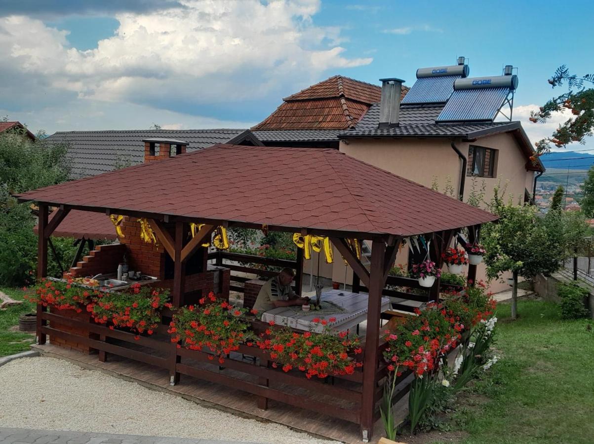 Casa Alex Hotel Toplita  Exterior photo